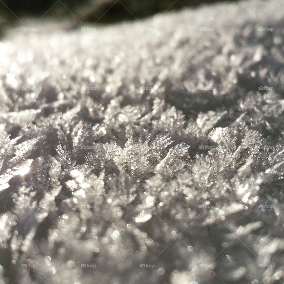 closeup of some early morning frost