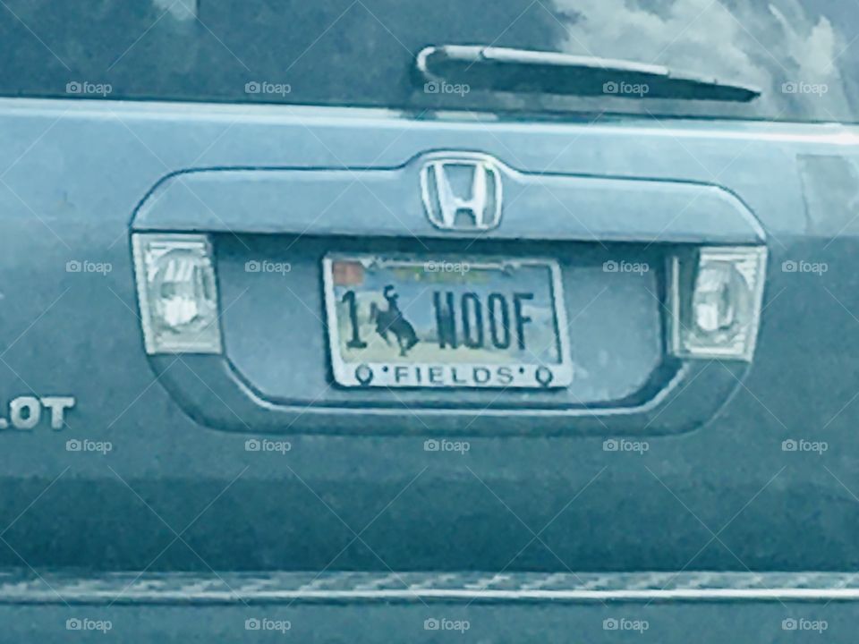 Unique Florida license plate collection WOOF