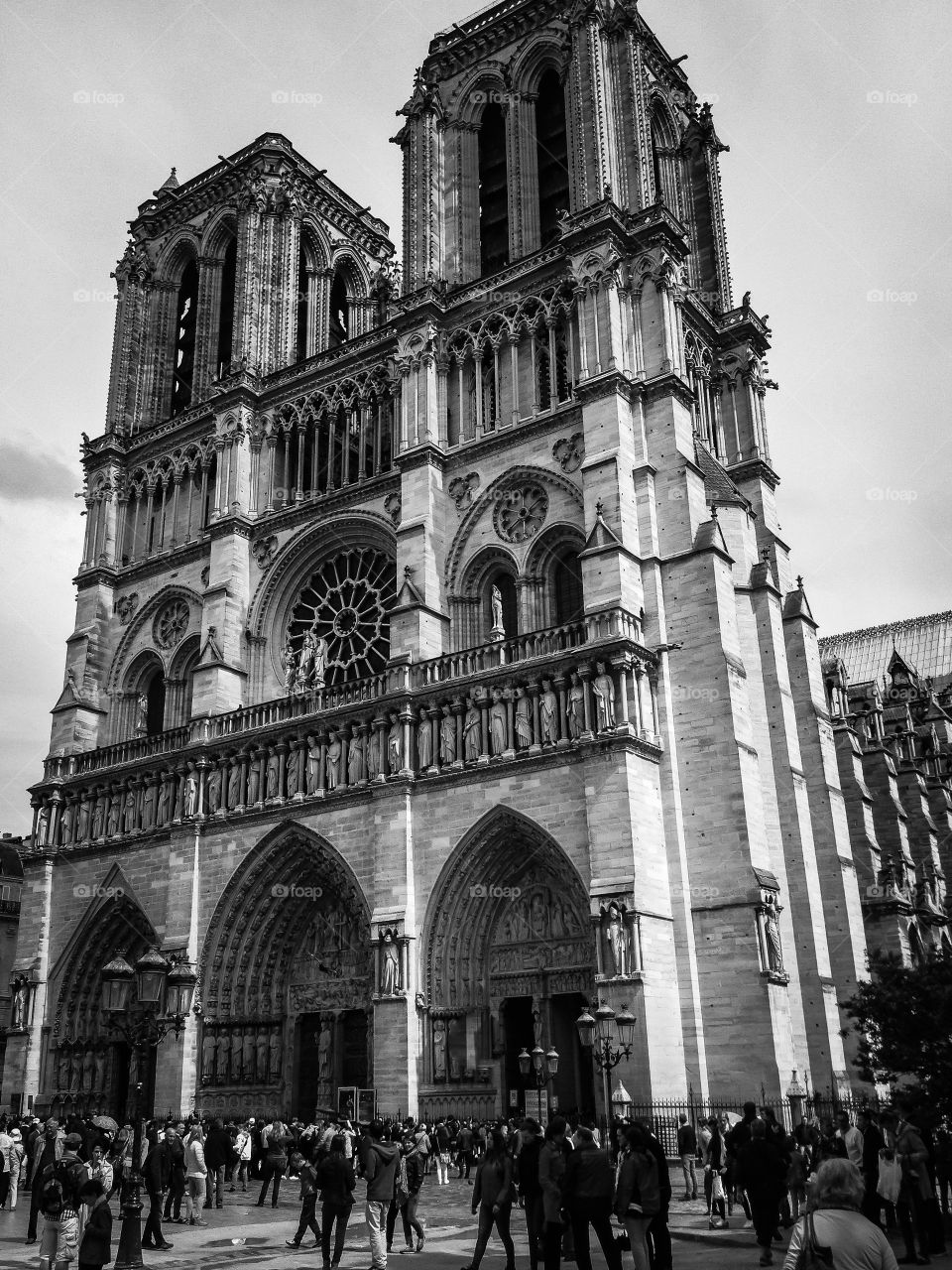 Catedral de Notre Dame. Catedral de Notre Dame (Paris - France)