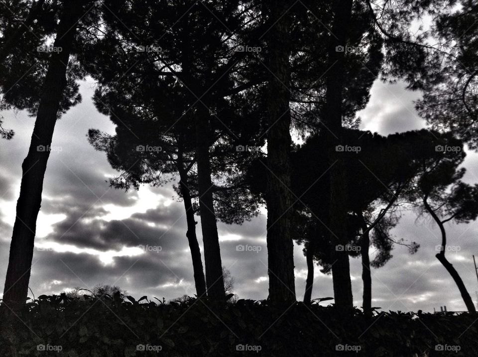 sky trees alla punta - punta ala luogo panoramico by alekime