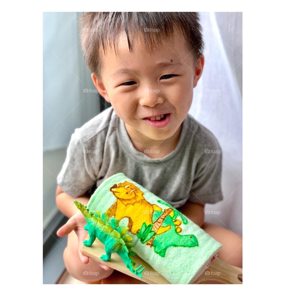 Triceratops and stegosaurus dino cake roll in strawberry flavour 