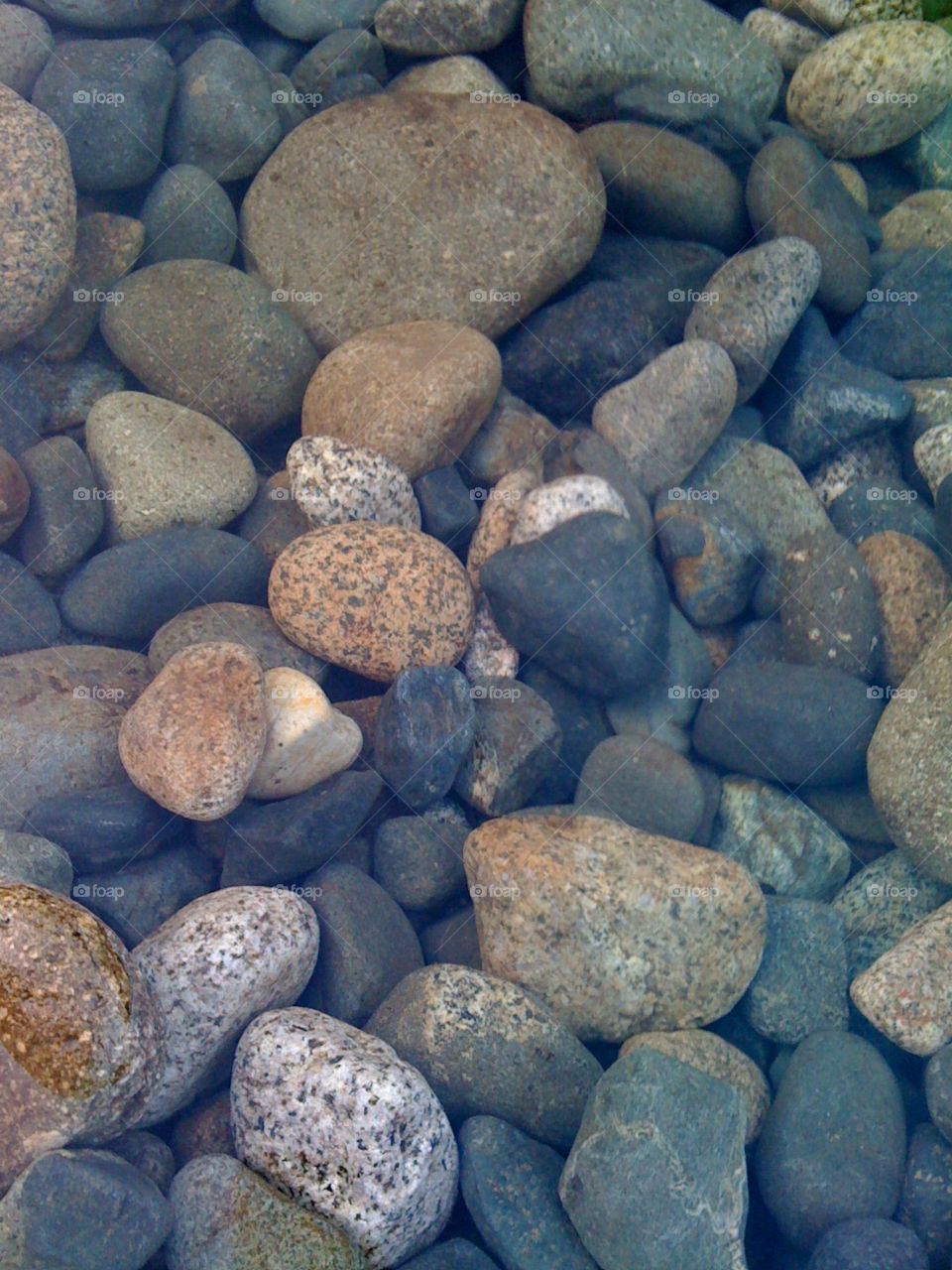 different shapes of rocks and pebbles in clear water