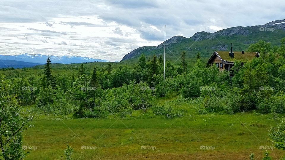 Mountain Cabin