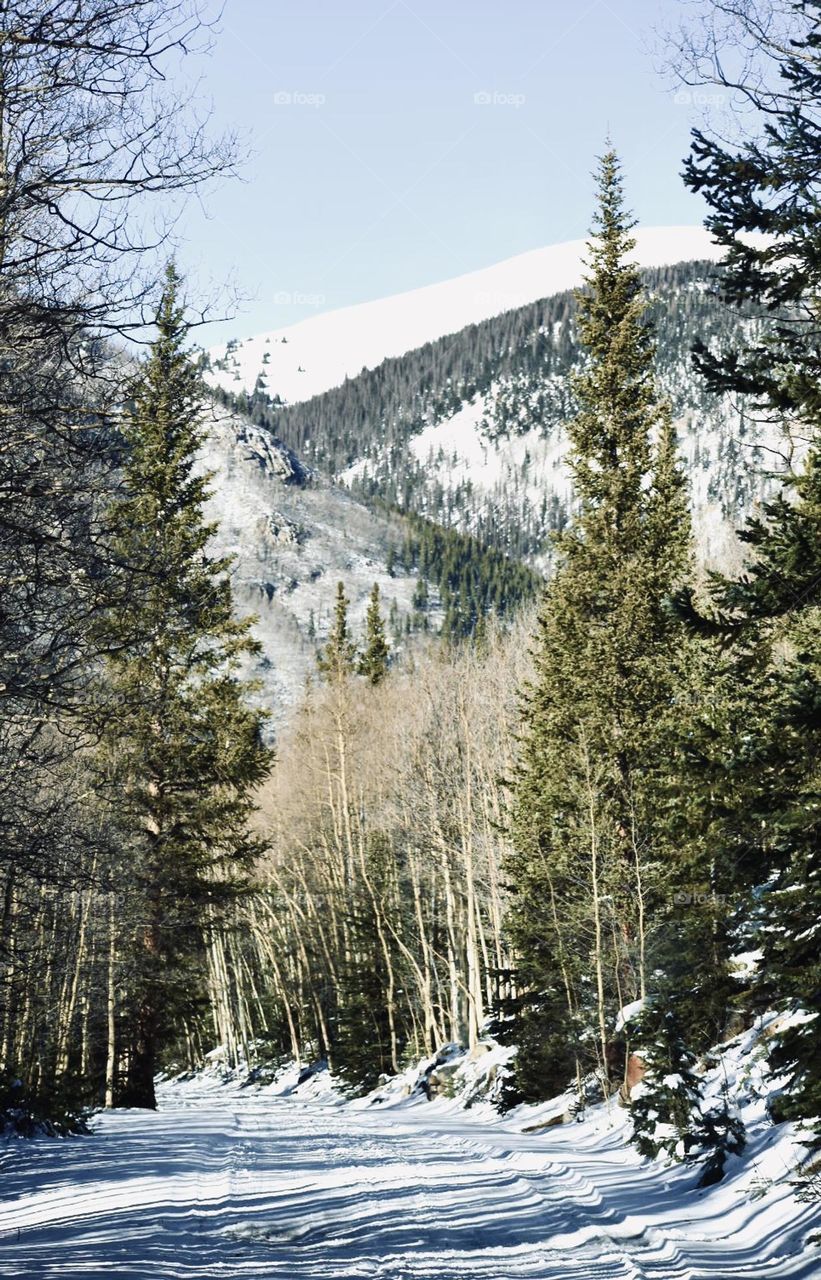 Fresh air and good times