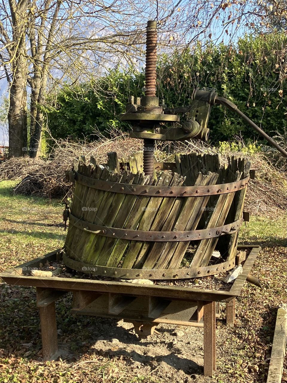 Vintage vibes in vineyard 