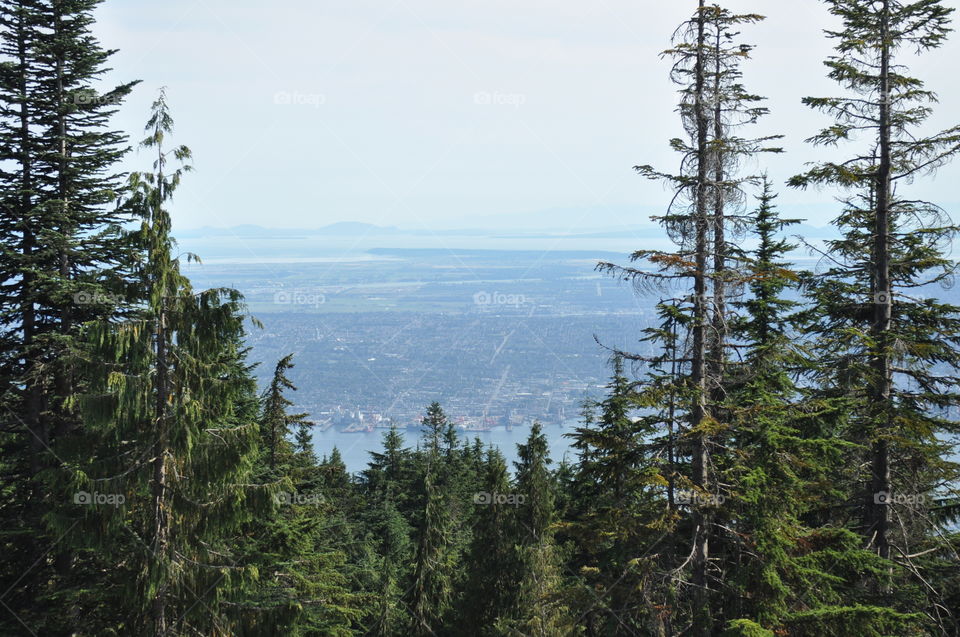 View from mount grouse