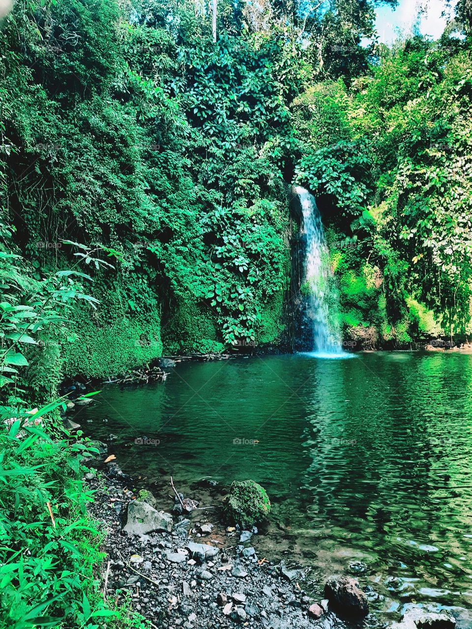 Sengkuang waterfall is cool with a beautiful forest view