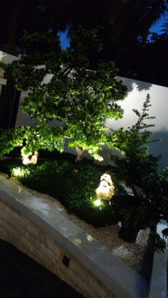 decorative night lights, bonsai tree lights, outdoor lights, garden lights, bonsai pot lights.