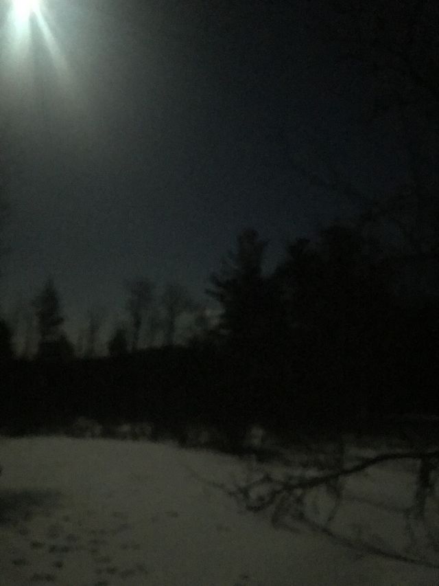 Moon light