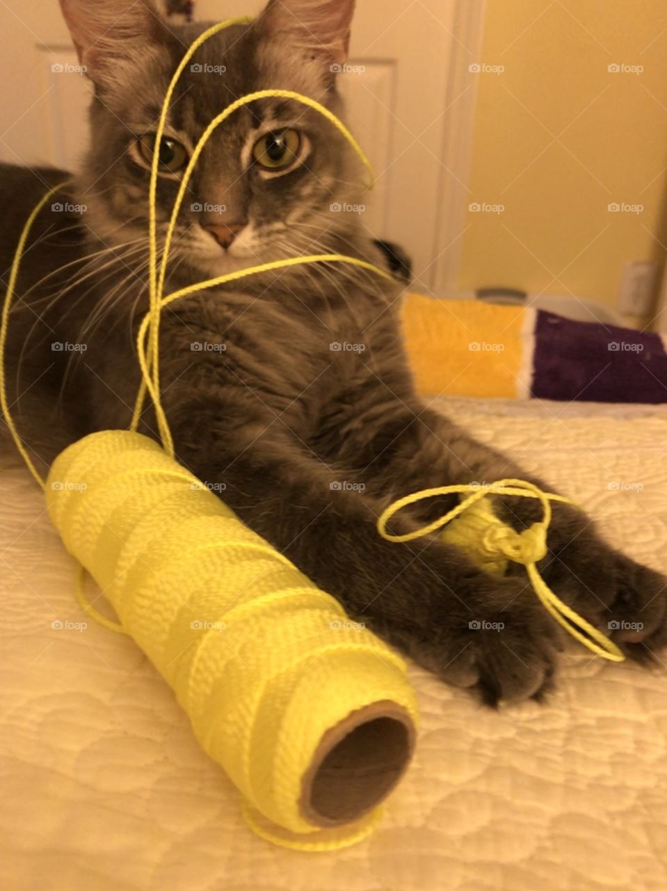 After play with the twine I seem to be tied up at the moment, thanks for understanding. 