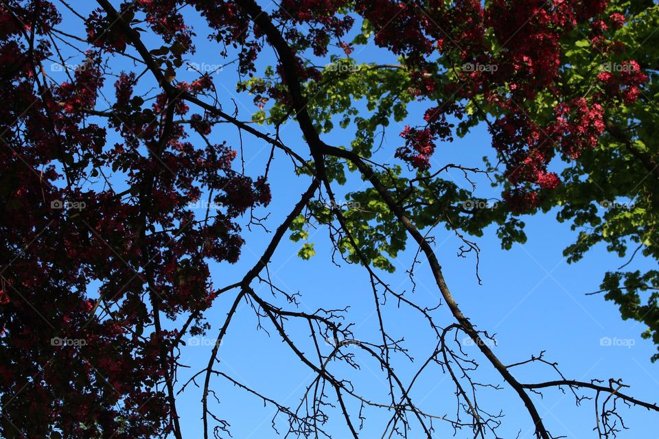 Sunny Warm Day
Spring Colors