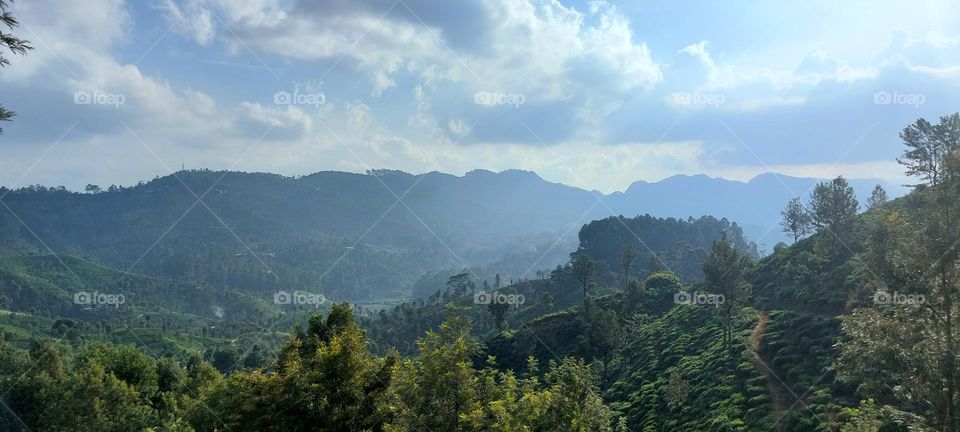 Mystical Horizons: A Panoramic Journey through Enigmatic Mist-Laden Mountain Ranges