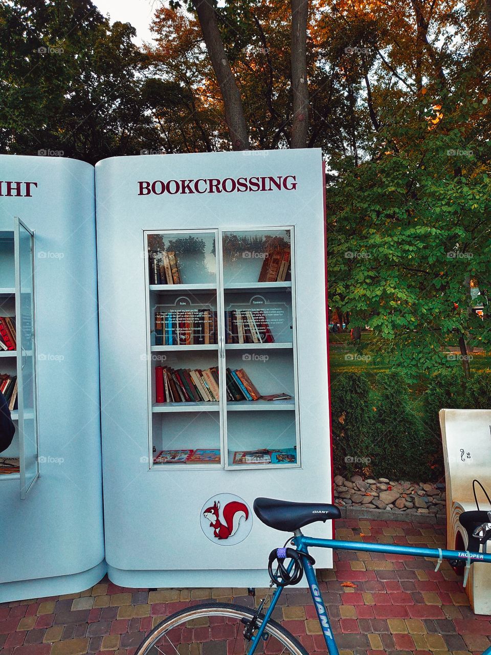 scenery in the park, bookcase in the park
