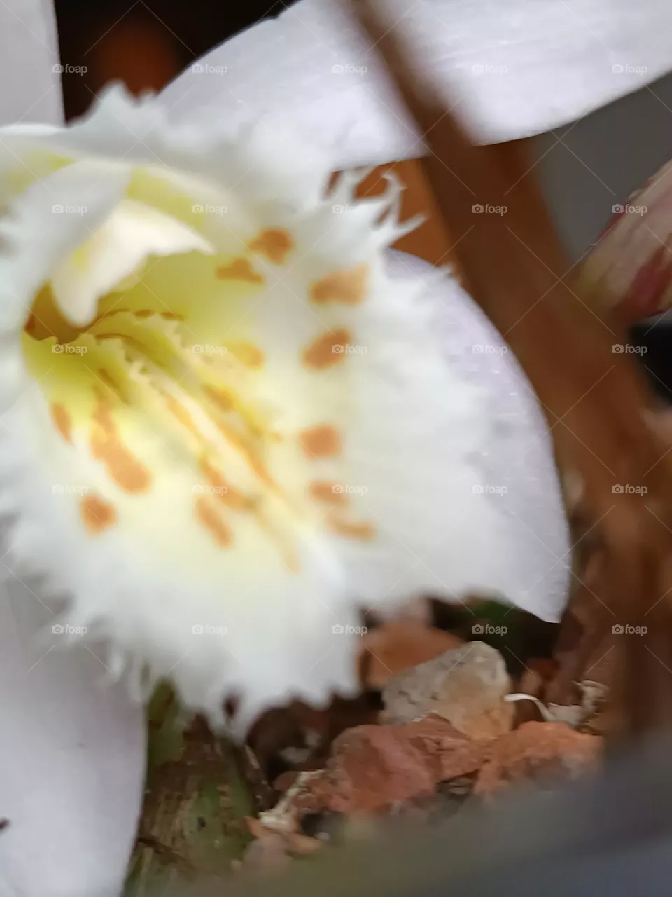 wow