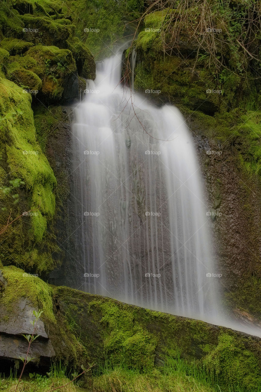 Green Lush Waterfall