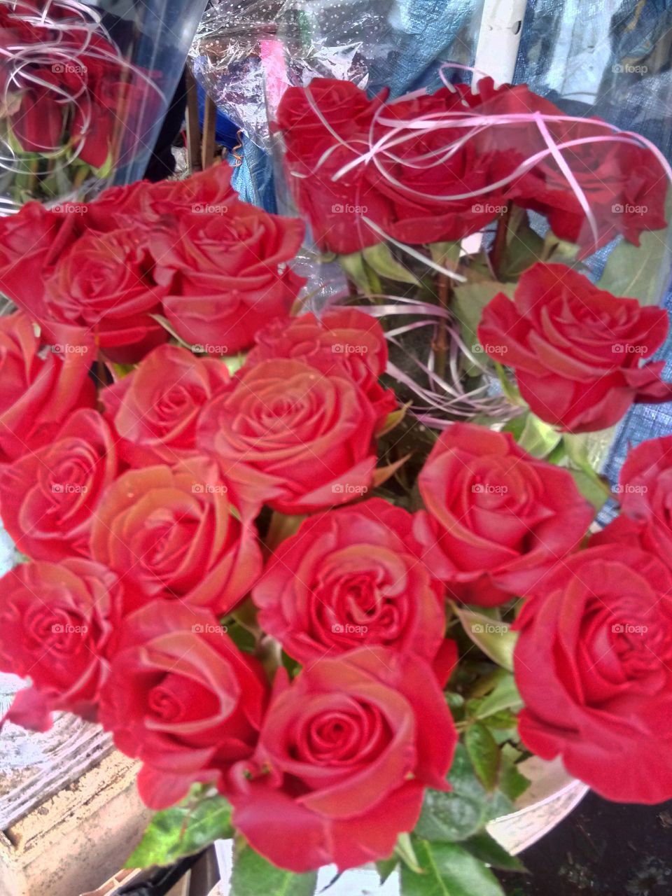 Rose, Bouquet, Love, Gift, Flower