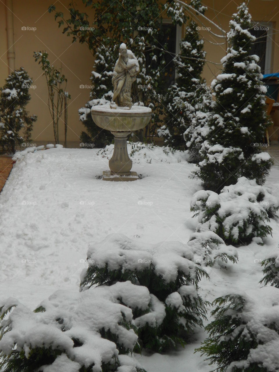 Statue in Winter