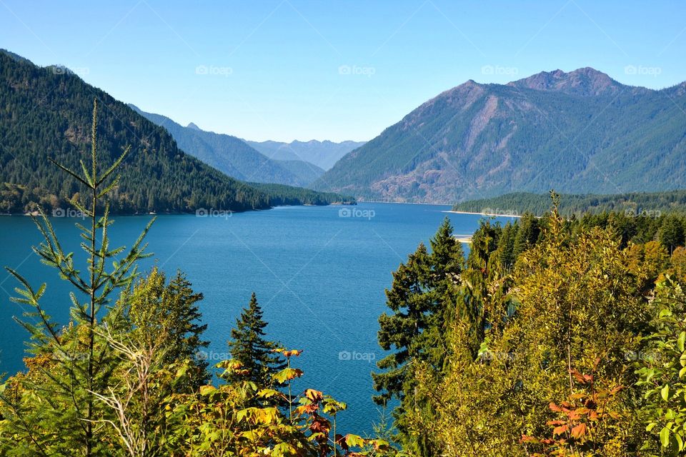 Serene Lake