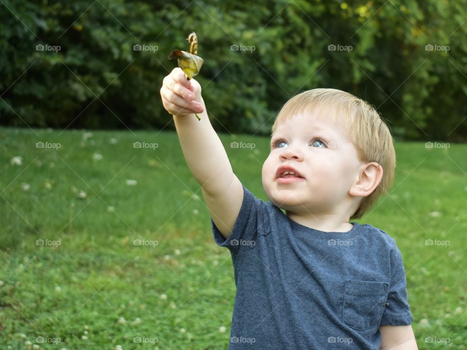 Cute toddler boy gathering fallen leaves in early autumn 