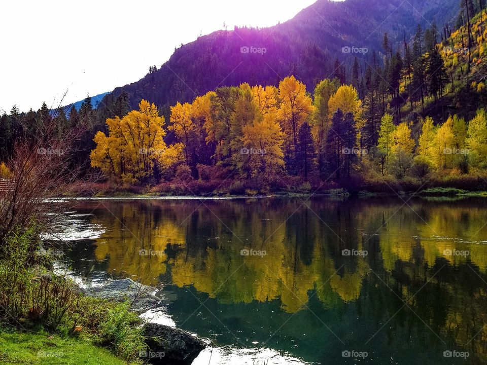 Reflection of autumn trees on lake