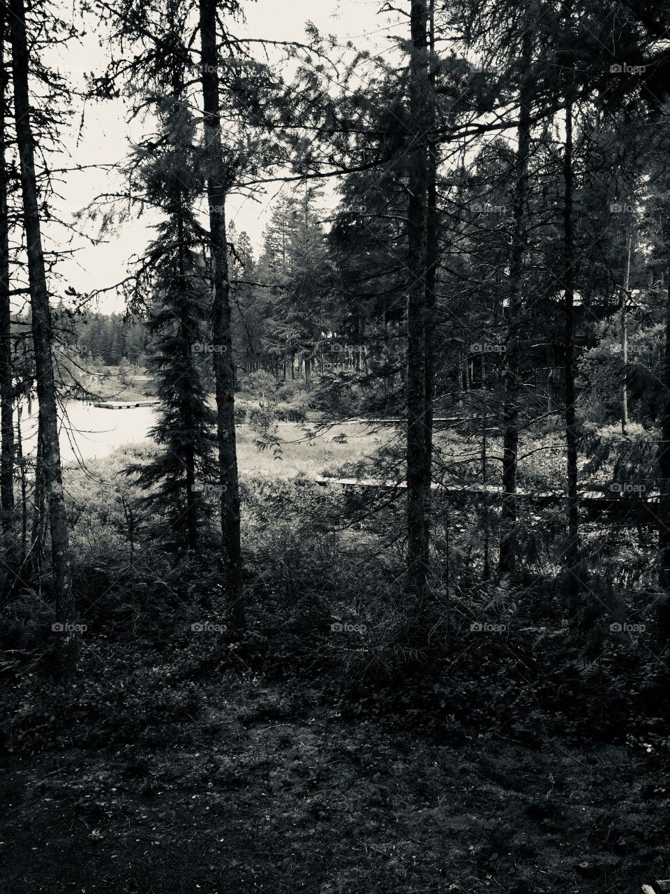 Black and white photo of Pinecrest Lake in beautiful British Columbia on a gloomy summer’s day