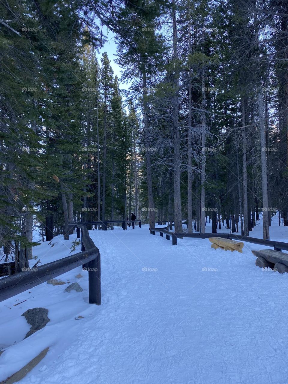 Snow path Rocky Mountains 