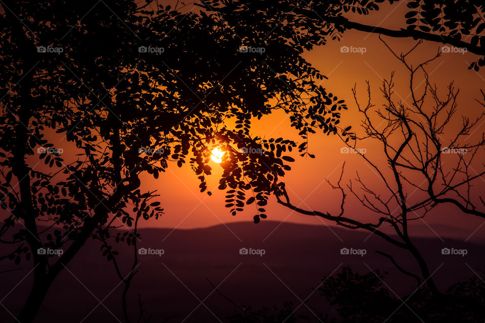 Sunset, Silhouette, Dawn, Sun, Evening