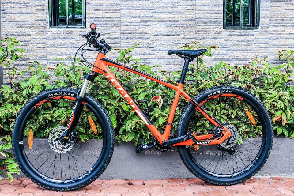 My 2018 Giant Talon 1 Hard Tail Mountain Bike.. one of my Hobbies and sports.