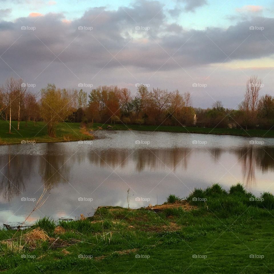 Clouds and trees reflected on lake