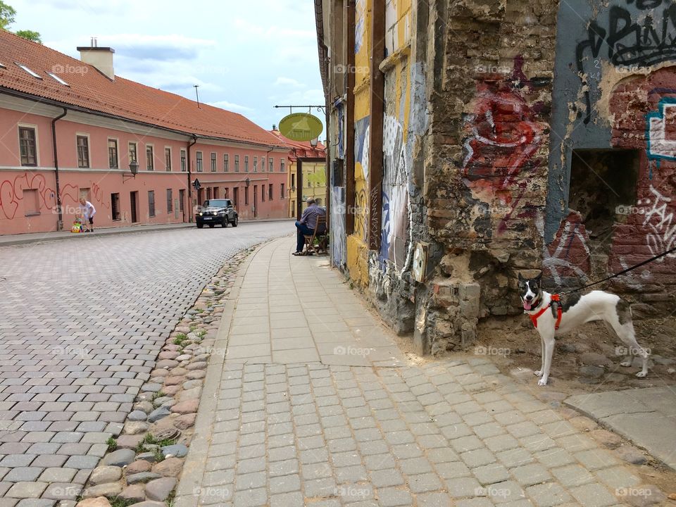 Street, Town, Architecture, City, Building