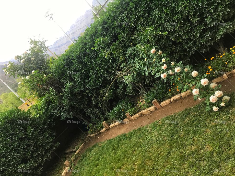 Old is full of positivity!! All we need is feelings to go beyond!!