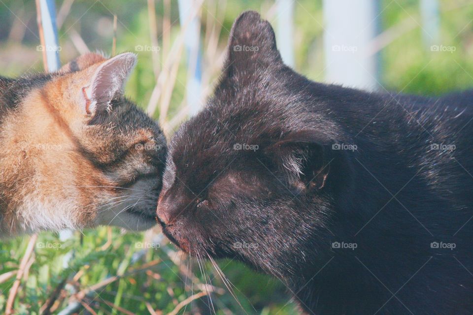 Love can be found even in the most unexpected places! Color doesn't matter.