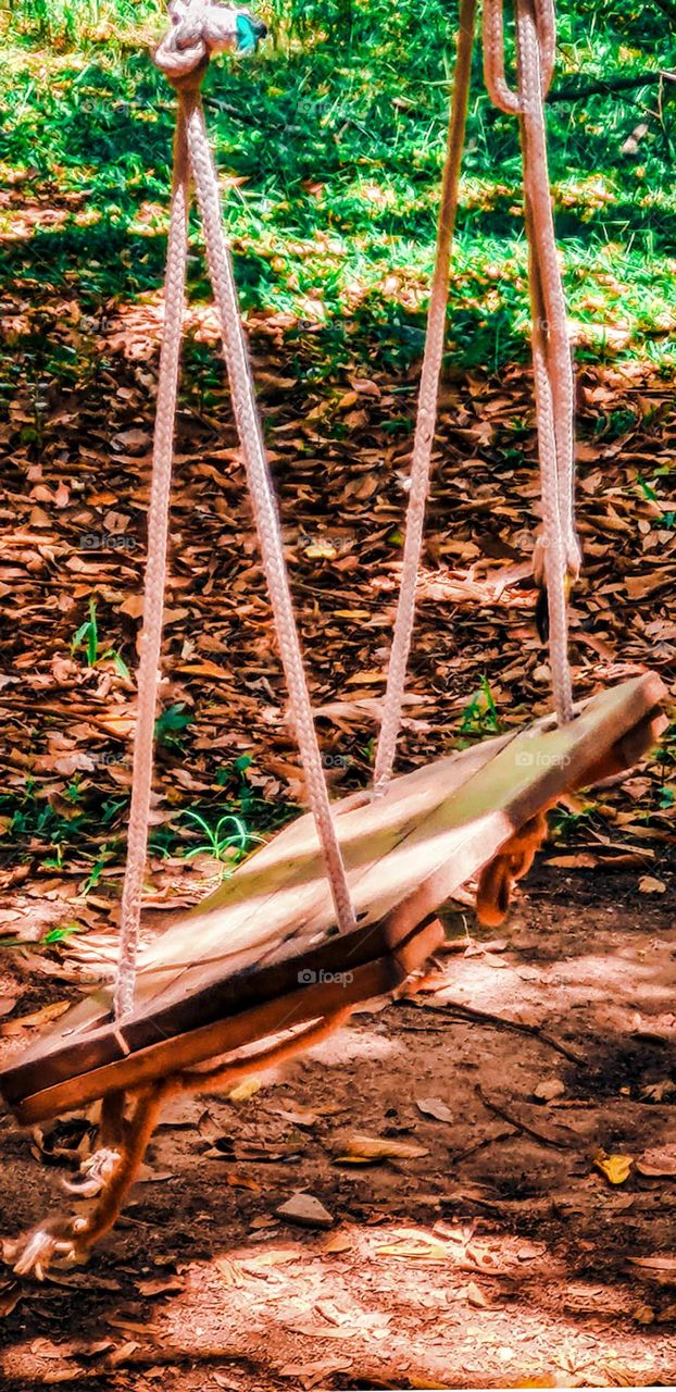 Swing built in the neighborhood woods, by neighborhood families, for children to play outdoors and safely during the pandemic.