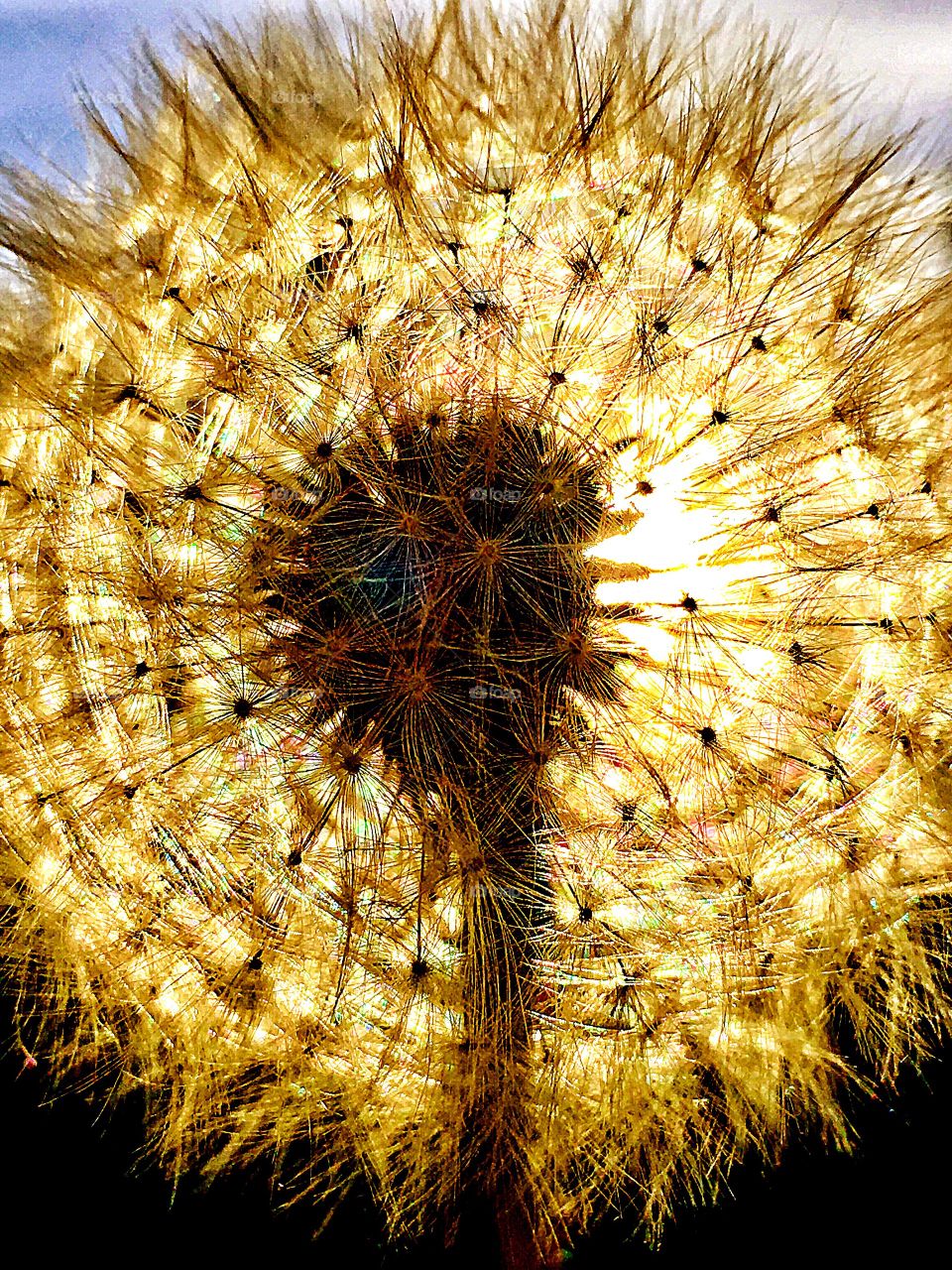 Captured with iPhone 6s Plus 