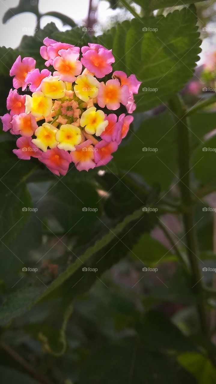 when you love the nature, then stay calm and enjoy