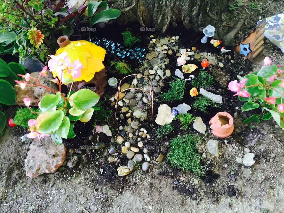 A magical garden 