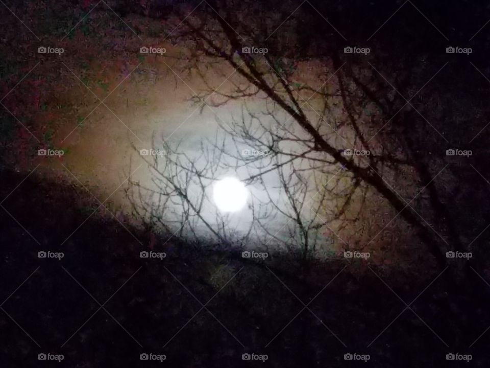 Full Moon