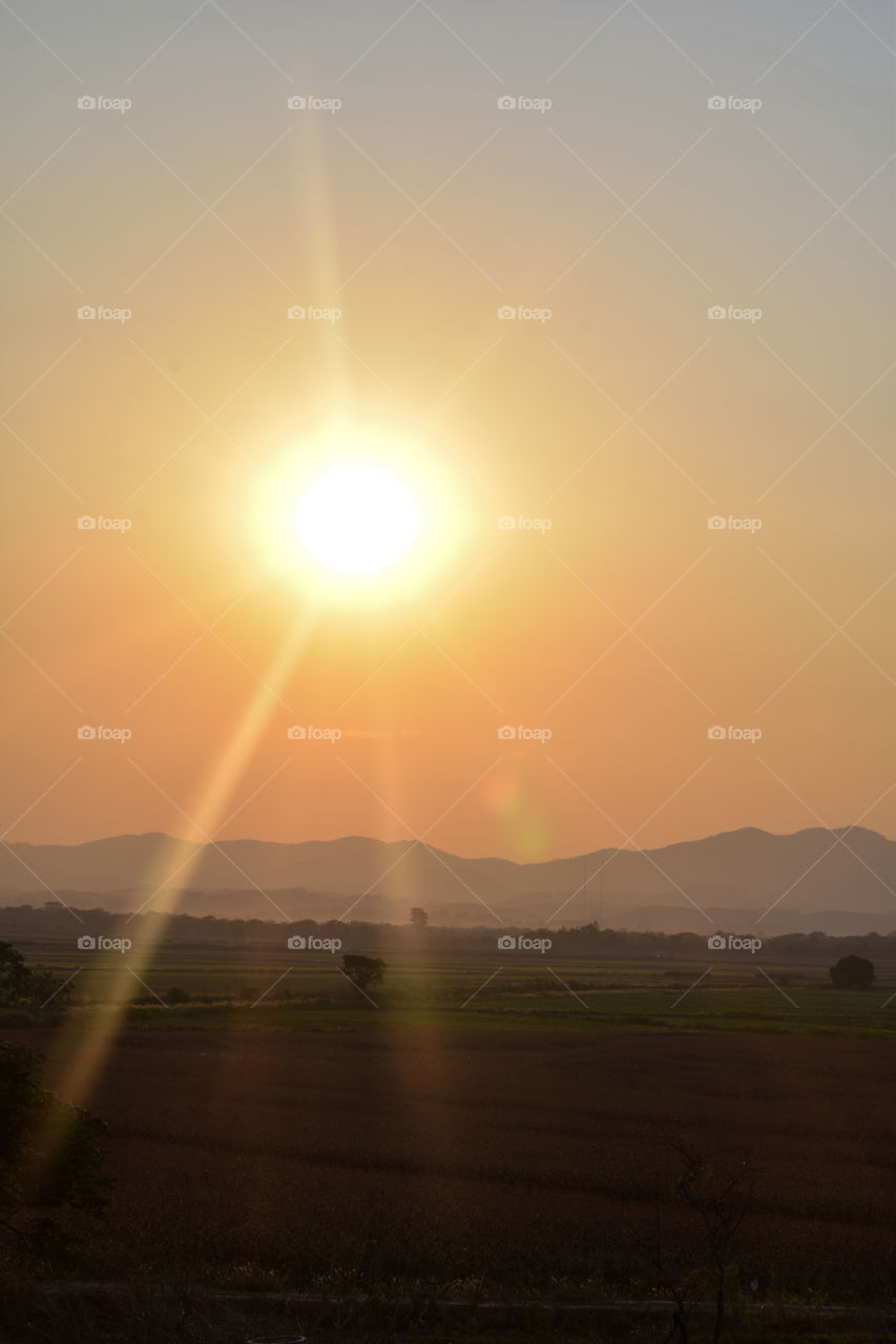 sunset over a rice paddy