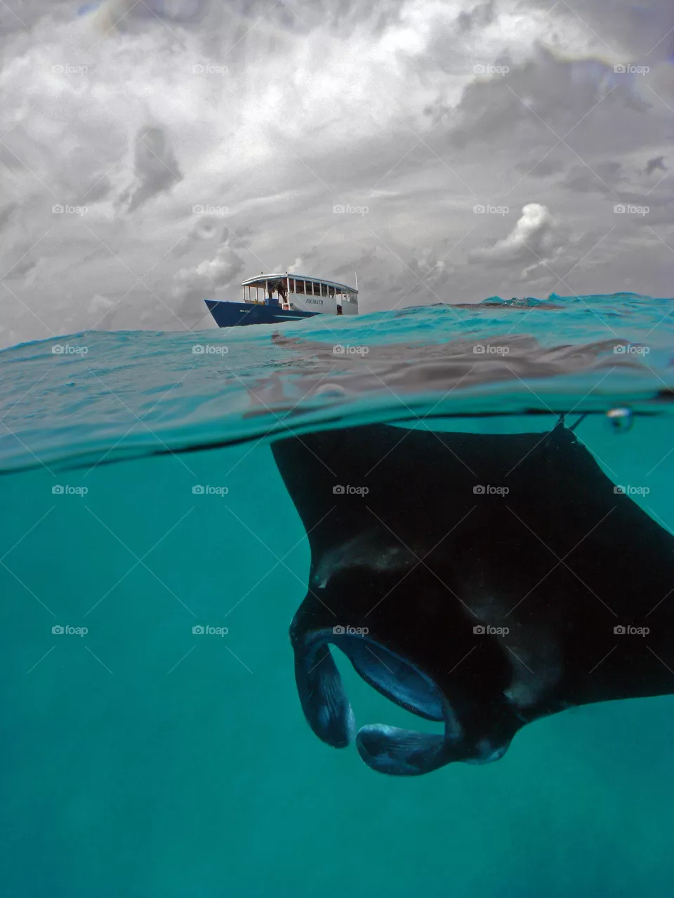 Split level shot of a reef Manta ray underwater, with a boat and story sky in the background. 