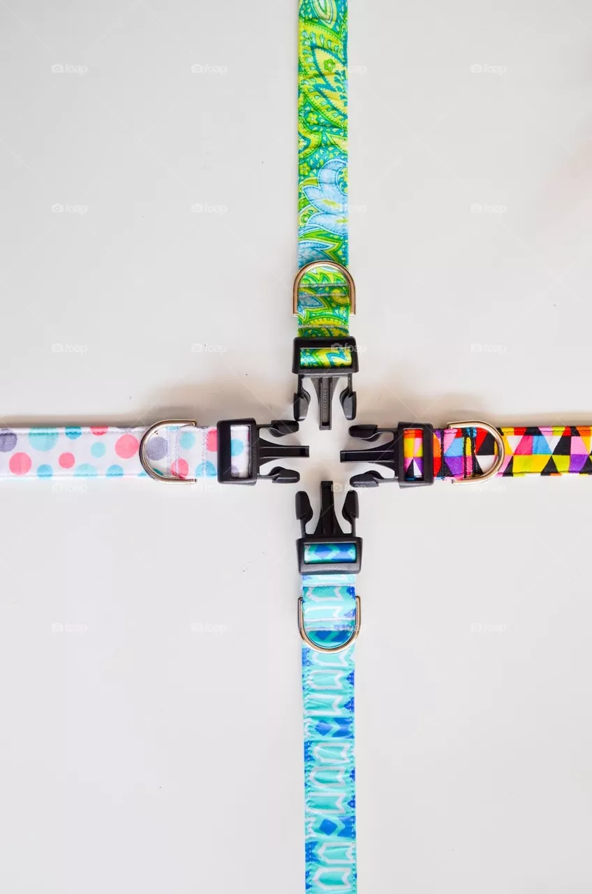 Dog collars