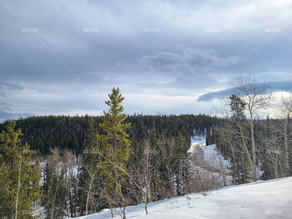 Roadtrips in the wintertime!