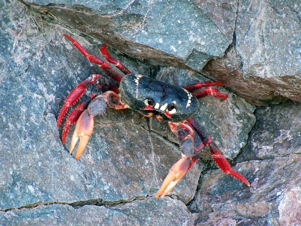 Don’t be a crab! 🦀