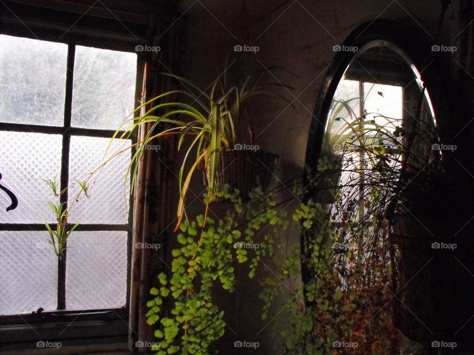 Plants in hanging pots in an old fashioned house