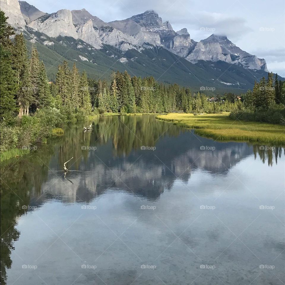 Summer in the Rockies