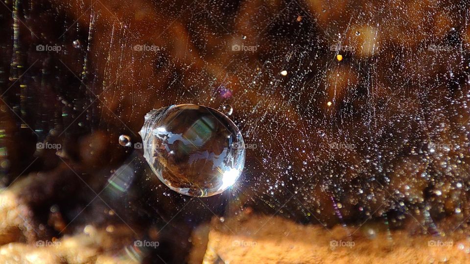 water drop on a spider web