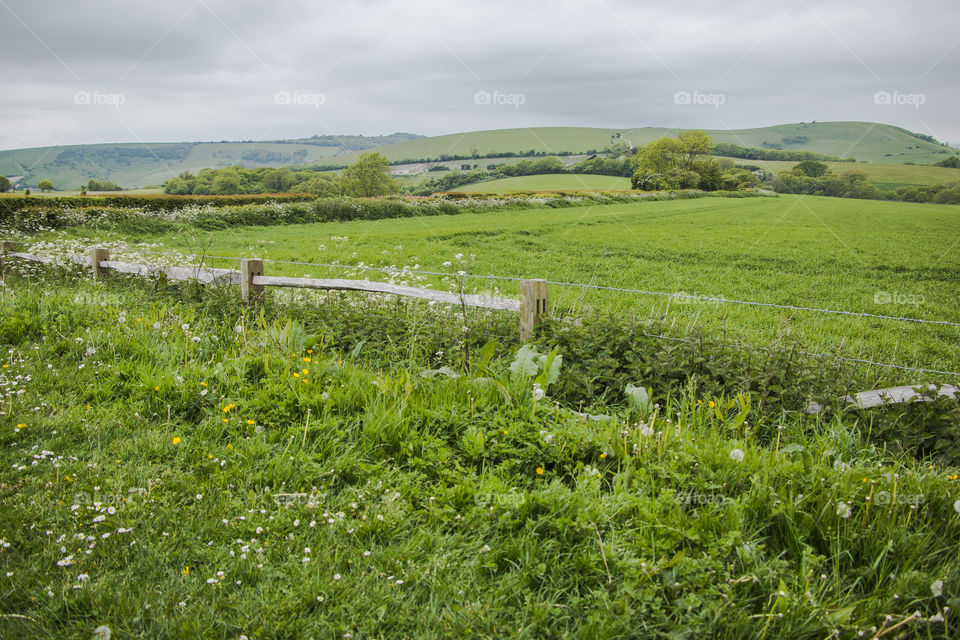 Landscape, Nature, Field, Grass, Agriculture