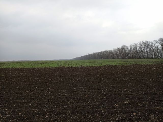 Endless agricultural fields.
