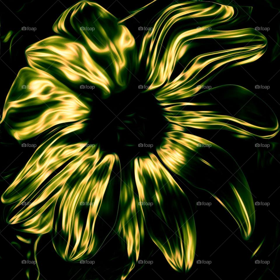 Abstract Wild Sunflower