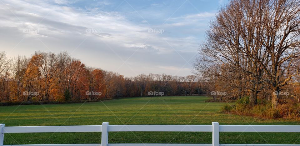 Farmer's Field in the Fall