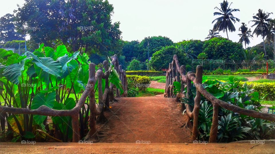 green island sri lanka